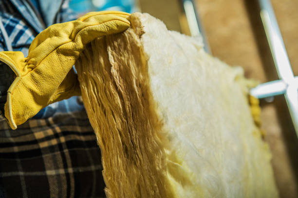 Best Insulation Maintenance and Repair in Moapa Valley, NV
