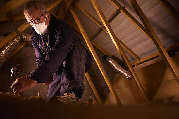Professional Insulation Contractor in NV